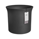 june tulip 47cm zwart